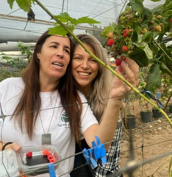 כך עזרנו לקהילה מאז שבעה באוקטובר - גלרייה - תמונה 1