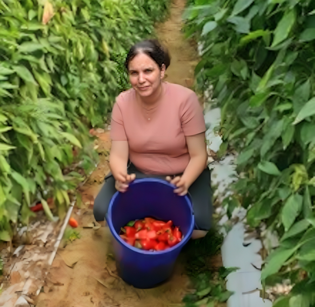 כך עזרנו לקהילה מאז שבעה באוקטובר - גלרייה - תמונה 2